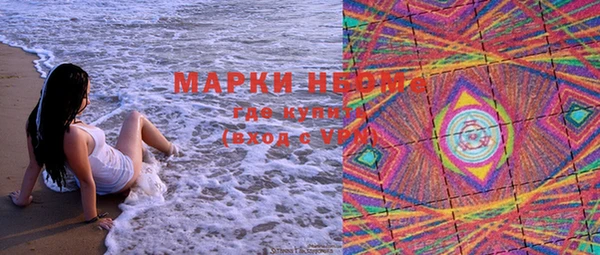 прущие грибы Саяногорск
