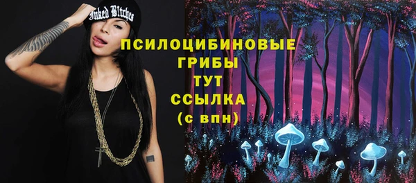 крисы Сатка