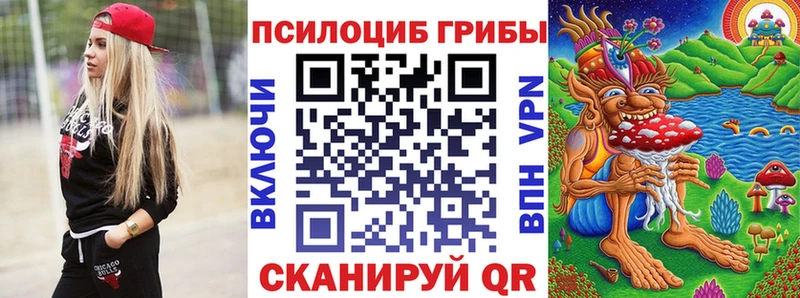 сколько стоит  Куровское  Галлюциногенные грибы мицелий 